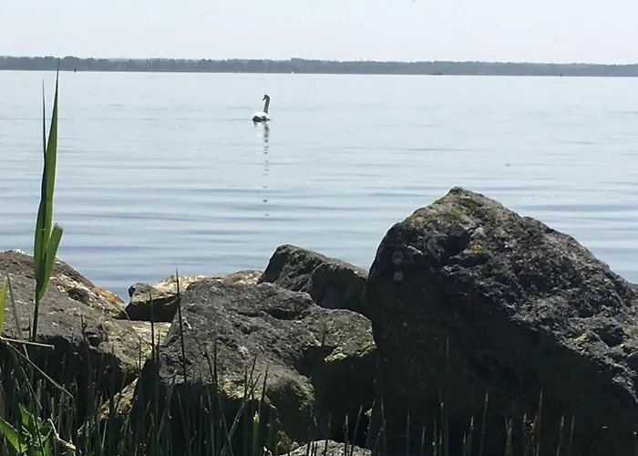 B&B Het Vogeltje